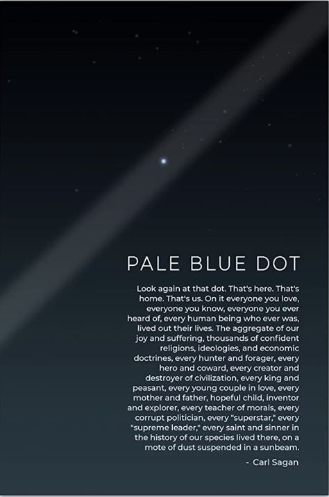 Earth From Voyager, Carl Sagan Quotes Pale Blue Dot, Space Motivational Quotes, Carl Sagan Pale Blue Dot, Quotes On Astronomy, Pale Blue Dot Carl Sagan, Quote About Space, Quotes About Space Universe, Space Quotes Universe