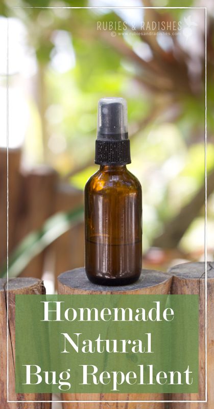 DIY Bug Spray: Natural Bug Repellent - Up and Alive Diy Bug Spray, Vacation In Mexico, Eaten Alive, Basil Essential Oil, Natural Bug Repellent, Natural Repellent, Insect Spray, Bug Spray, Bug Repellent