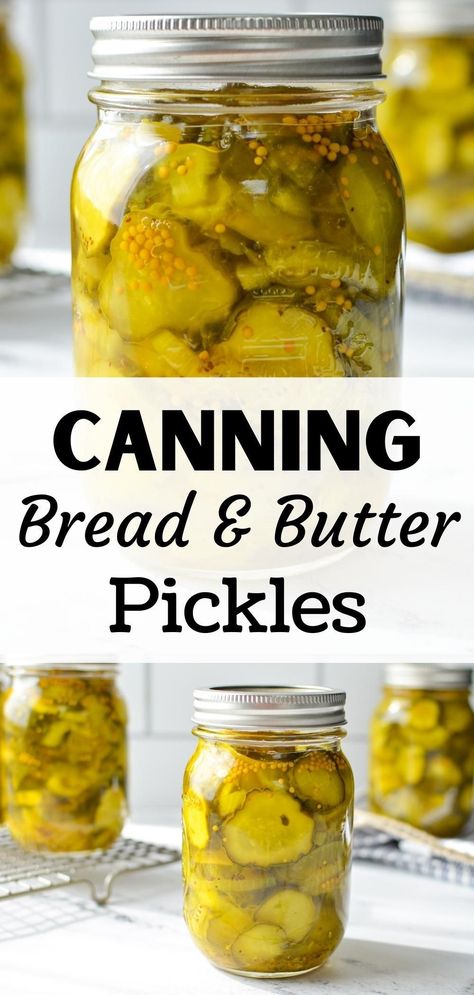 Easy Bread And Butter Pickles, Canning Bread, Bread And Butter Pickles Recipe, Canning Pickles Recipe, Pickles Canning, Old Fashioned Bread, Bread N Butter Pickle Recipe, Water Bath Canning Recipes, Bread And Butter Pickles