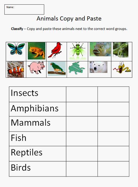 SC.3.L.15.1- Classify animals into major groups (mammals, birds, reptiles, amphibians, fish, arthropods, vertebrates and invertebrates, those having live births and those which lay eggs) according to their physical characteristics and behaviors. || I would use this as a worksheet when classifying animals. It's a good visual aid for students. Mammals Reptiles Classifying Animals, Habitat Lessons 2nd Grade, Classification Of Animals Worksheet, Classifying Animals Worksheet, Animal Classification Worksheet, Classifying Animals, Technology Lesson Plans, Grade 2 Science, Technology Lesson