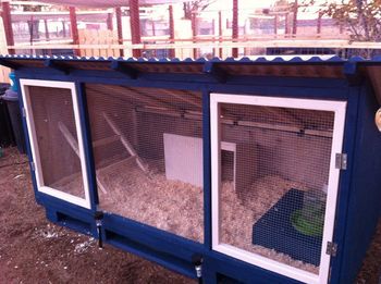 I built myself a new brooder this summer! It has 2 stories, LED lighting that dims, and Brinsea... Chicken Coop With Built In Brooder, Brooder Box, Quail Coop, Pigeon Cage, Chicken Brooder, Chicken Poop, Chicken Pen, Coop Ideas, Chicken Life