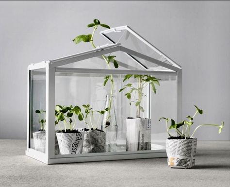 Ikea Socker växthus Rustic Greenhouses, Homemade Greenhouse, Greenhouse Kitchen, Terrariums Diy, Underground Greenhouse, Mini Serre, Best Greenhouse, Ikea Catalog, Indoor Greenhouse