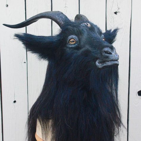 703 Likes, 8 Comments - Melissa Ebbe (@feralworks) on Instagram: “What makes a goat better? More eyes, obviously. My Baphomet for Halloween and Master Blasters…” Scary Goat, Goat Costume, Baphomet Goat, Fursona Ideas, T Bone, Art Writing, A Goat, Gothic Revival, Southern Gothic