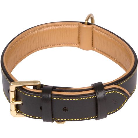 Amazon.com : Luxury Brown Leather Padded Dog Collar - Absolutely Beautiful Genuine Leather Collar - Looks Great on Male or Female Medium Dog Breeds - 1 Inch Wide and Fits Neck Size 14.5 to 17.5 Inch : Pet Supplies Leather Dog Leash, Leather Dog Collar, Dog Collars & Leashes, Handmade Dog, Dongguan, Leather Collar, Dog Neck, Nice Leather, Braided Leather