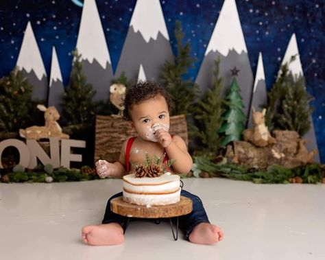 Happy Camper Cake Smash, One Happy Camper Cake, Happy Camper Cake, Woodland Cake Smash, Cake Smash Photo Ideas, Camper Cake, Camper Cakes, Moose Cake, Thomas Cake