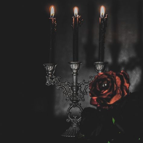 Gothic Candle, Gothic Candles, Dark Art Photography, Candle Wall, Gothic Accessories, Goth Art, Dark Gothic, Goth Aesthetic, Gothic Home Decor