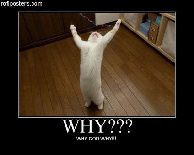 Finally I'm Giving up Why Me God, Why God Why, Very Demotivational, Funny People Pictures, The Way I Feel, Friday Feeling, Type 3, Shag Rug, Cute Cats