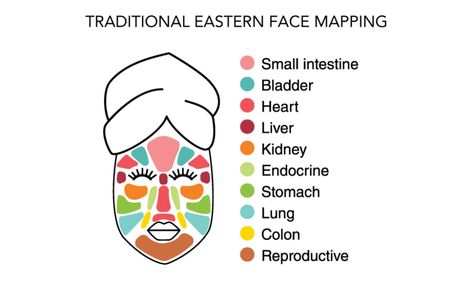 Face Mapping - What is Your Acne Breakout Trying to Tell You? – Oxygenetix Acne Meaning Face Mapping, Acne Reasons Face Mapping, Face Mapping Acne Break Outs, Chinese Face Mapping Acne, Acne Chart Causes Of, Acne Reasons, Reflexology Points, Face Mapping Acne, Face Mapping