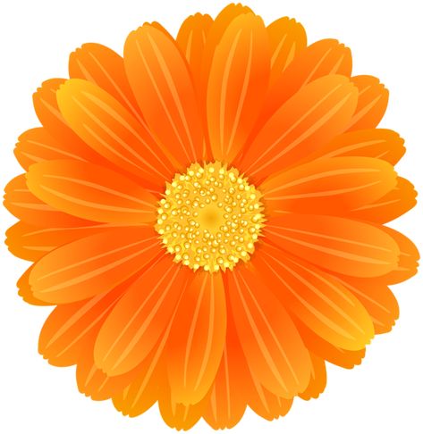 Png Images For Editing, Banner Clip Art, Flower Png Images, Orange Daisy, Butterfly Clipart, Fleur Orange, Flower Pot Crafts, Flowers Png, Butterfly Clip Art