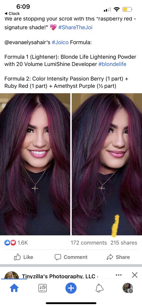 Joico Amethyst Purple, Redken Red Violet Formula, Violet Red Hair Color Formula, Pravana Magenta Hair, Merlot Hair Color Formula, Redken Plum Hair Color Formula, Plum Hair Formula, Plum Hair Color Formula, Red Violet Hair Color Formulas