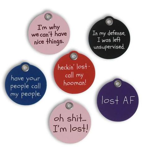 Funny Dog Tags For Dogs, Cute Dog Tag Sayings, Engraved Dog Tags For Dogs, Dog Tag Engraving Ideas, Funny Dog Collar Tags, Pet Tag Ideas, Laser Engraved Dog Tags, Funny Dog Tags Hilarious, Dog Tag Ideas Funny