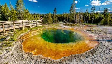 A map showing Yellowstone's geyser basins including the Upper Geyser Basin with Old Faithful and Morning Glory Pool, and nearby Grand Prismatic. Grand Prismatic, Water Shoot, Nikon D500, Public Domain Photos, Thermal Spring, Art News, Old Faithful, Alien Planet, Yellowstone National