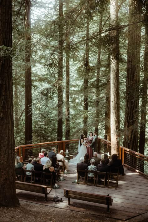 Melanie & Austin's Elopement Exploring Hoyt Arboretum and Latourell Falls - Wandering Weddings Oregon Woods Wedding, Wedding Elopement Ideas Destinations, Elope Locations, Oregon Beach Wedding, Eloping Wedding, Redwood Deck, Hoyt Arboretum, Nature Elopement, Latourell Falls