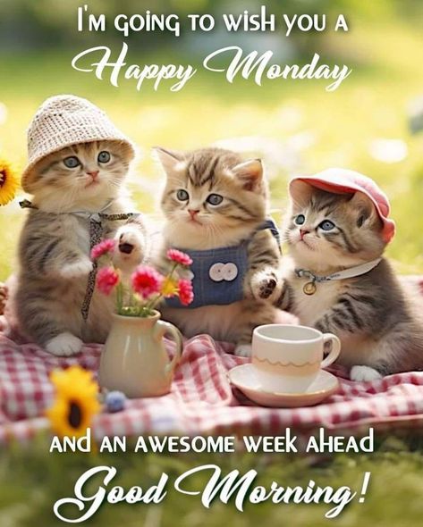 Good Morning Happy Monday New Week, Good Monday Morning Images, Good Morning Monday Gif, Good Morning Quotes Monday, Good Morning Monday Quotes, Monday Morning Images, Morning Quotes Monday, Monday Morning Greetings, Quote Good Morning