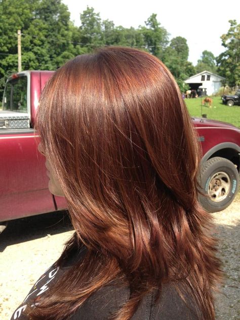 Medium brown and auburn lowlights with a layered cut is great for my thick head of hair :) Auburn Lowlights, Auburn Bob, Brown Auburn Hair, Maroon Hair, Red Hair Inspo, 2023 Hair, Ginger Hair Color, Caramel Hair, Hair Color Auburn