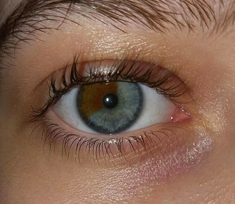 Heterochromia Eyes Brown And Green, Brown And Blue Eyes, Eyes References, Sectoral Heterochromia, Heterochromia Eyes, Brown Eyes Aesthetic, Eyebrow Color, Beautiful Eyes Color, Blue Green Eyes