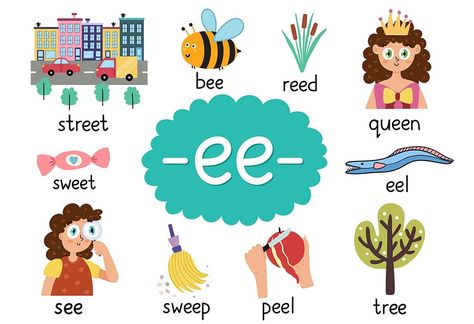 "Ee" words are the words for kids that contain "ee" at the beginning, middle or end. Make your child learn these words with the help of activities and help them improve their vocabulary. Preschool Preparation, Ee Words, Two Letter Words, Hand Washing Poster, Digraph Words, Phonics For Kids, Cvc Words Kindergarten, Learning Phonics, Money Math