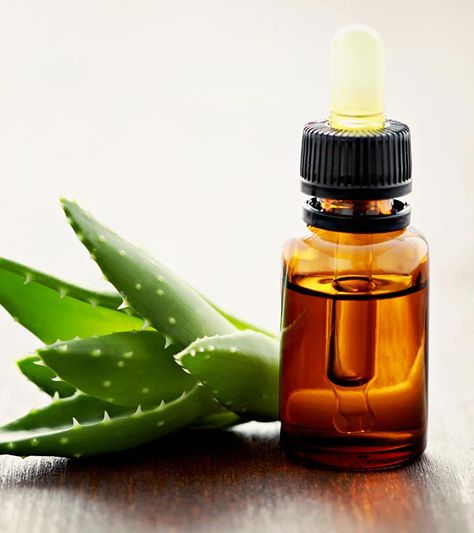 Aloe Vera Acne, Aloe Vera Moisturizer, Aloe Oil, Benefits Of Aloe Vera, Aloe Vera Hair, Aloe Vera Skin, Become Healthy, Aloe Vera Face, Aloe Vera For Skin