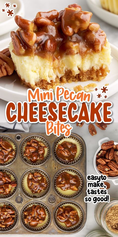 These mini pecan cheesecake bites have a buttery graham cracker crust, creamy cheesecake filling, and are topped with a caramel pecan drizzle. Pecan Cheesecake Bites, Mini Pecan Cheesecakes, Brown Sugar Pineapple Ham, Pecan Cheesecake Recipes, Brown Sugar Pineapple, Yummy Pie, Pineapple Ham, Cheesecake Bites Recipe, Pecan Desserts