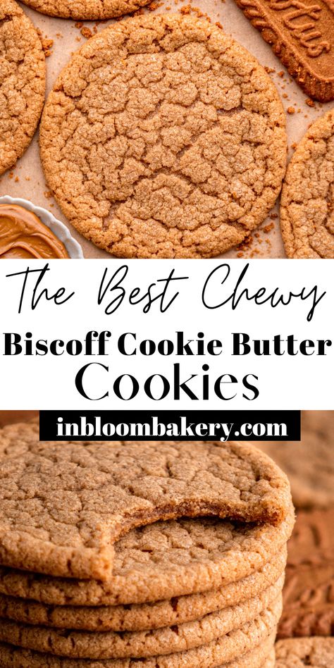 These are the best cookie butter cookies! They're super easy to make, with chewy centers, lots of Biscoff cookie butter flavor, crispy edges and the perfect "bite". Medium Rare Cookies, Cookies Made With Biscoff Cookie Butter, Biscoff Cookie Recipes Easy, 1 Stick Butter Cookies, Biscoff No Bake Cookies, Easy Cookie Butter Recipes, Things To Do With Cookie Butter, What To Make With Cookie Butter, Biscoff Butter Cookies Recipe