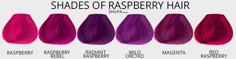 Adore Color Chart, Raspberry Hair Color Formula, Wild Berry Hair Color, Raspberry Pink Hair Color, Dark Raspberry Hair Color, Raspberry Twist Hair Color, Radiant Raspberry Hair Color, Wild Orchid Hair Color, Raspberry Red Hair