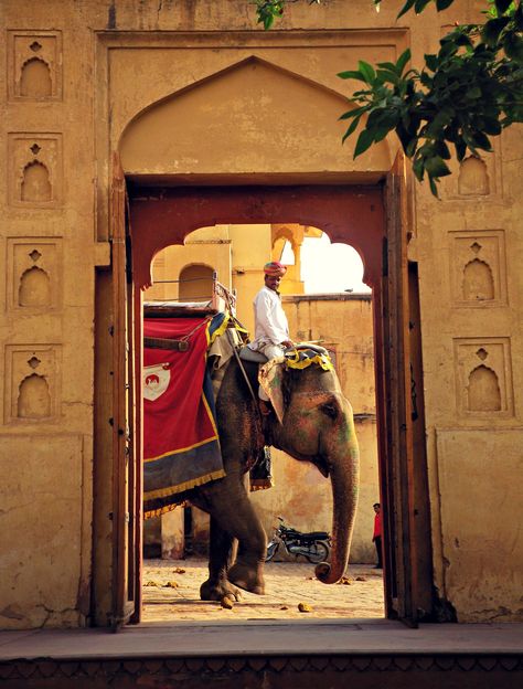 Adventure India, Hindu Architecture, India Travel Photography, Tac Mahal, Amber Fort, Elephant Ride, Amazing India, Indian Colours, Colour Photo