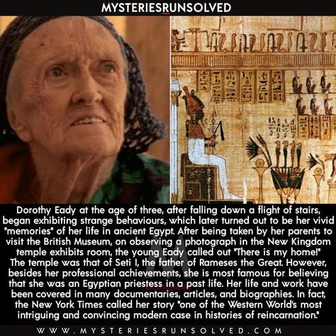 Miracle Stories, Life In Ancient Egypt, Ancient History Facts, True Interesting Facts, Cool Science Facts, Interesting Facts About World, Creepy Facts, History Facts Interesting, Unbelievable Facts