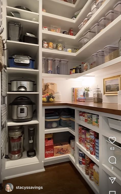 Walk In Pantry Next To Refrigerator, Open Pantry Design Ideas, Pantry With Laundry, Walkin Pantry Ideas, Pantry With Countertop, Small Walk In Pantry Layout, Butlers Pantry Ideas Layout, Walk In Pantry Organization, Butlers Pantry Ideas