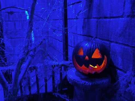 Blue Halloween Aesthetic Spooky, Halloween Blue Aesthetic, Robbie Mercer, Blue Halloween Aesthetic, Nostalgic Halloween, Halloween Breakfast, Halloween Pics, Blue Halloween, Yard Haunt