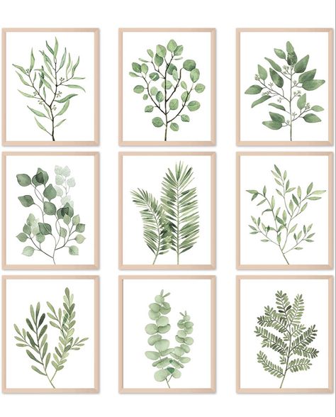 Teen Wall Art, Herb Wall, Plant Wall Art, Plant Wall Decor, Decor Pictures, Plant Painting, Wall Decor Pictures, Leaf Decor, Real Plants