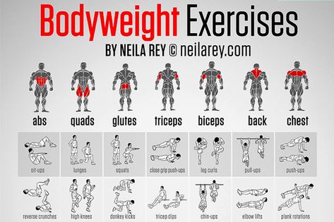 Body Weight Exercises For Men At Home, Mens Body Weight Workout, Free Body Weight Workout, Weight Training No Equipment, Arms Workout For Men No Equipment, No Weights Chest Workout, Arm Exercises With Weights For Men, Workout Programs No Equipment, Bicep Bodyweight Exercises