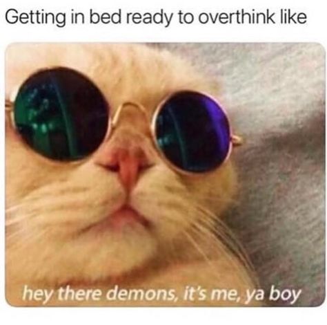 Caturday Is Finally Here Along With 26 Amazing Cat Memes! Gatos Cool, Wearing Sunglasses, Hey There, Animal Memes, Funny Cute, Cat Memes, Buzzfeed, Animals And Pets, Animal Pictures