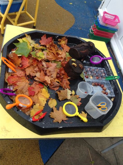 Children loved exploring the autumn tuff spot Nursery Autumn Activities, Outdoor Tuff Tray Ideas Eyfs Autumn, Autumn Themed Tuff Tray, Autumn Play Ideas, Early Years Autumn Activities, Autumn Topic Eyfs, Autumn Sensory Tray, Seasons Tuff Tray, Autumn Messy Play Ideas