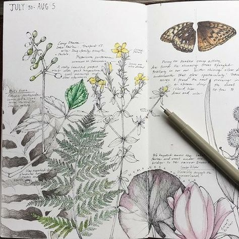 Kunstjournal Inspiration, Botanical Sketchbook, Nature Sketch, Botanical Artwork, Artist Sketchbook, Garden Journal, Sketchbook Pages, Arte Sketchbook, Sketchbook Journaling