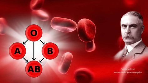 Before the discovery of ABO types, transfusion-related deaths were often  considered "one of those things" and those suggesting a deeper reason  considered crazy or "thinking too much"http://www.rhesusnegative.net/staynegative/the-discovery-of-the-human-abo-blood-group-system-was-accidental/ #bloodtype #rhnegative Abo Blood Group System, Karl Landsteiner, Rh Factor, Thinking Too Much, Blood Group, Scanning Electron Micrograph, Technology Life, Blood Groups, Teaching Biology