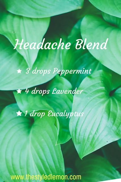 Diffuser Blend For Migraine, Headache Roller Blend, Headache Essential Oil Blend, Diffuser Oils, Essential Oil Combinations, Eucalyptus Lavender, Doterra Essential Oils Recipes, Essential Oils For Headaches, Essential Oil Diffuser Blends Recipes