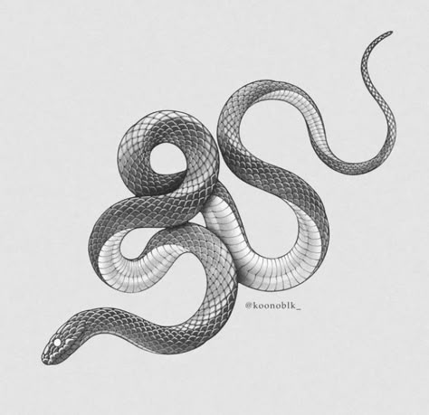 Black Mamba Snake, Black And White Snake, Snake Illustration, Snake Tattoos, Snake Drawing, Pencil Drawings Of Animals, Full Arm Tattoos, Snake Tattoo Design, Flash Tattoo Designs