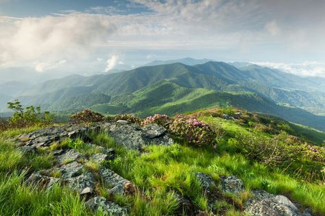 carvers gap roan mountain Hiking Usa, Spring Scenery, Types Of Hiking, Thru Hiking, Appalachian Mountains, Destination Voyage, Appalachian Trail, Scenic Drive, Blue Ridge Mountains