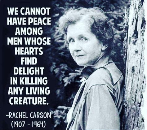 Animal Rights Quotes, Vegan Facts, Rachel Carson, Vegan Memes, Animal Activism, Animal Activist, Vegan Quotes, Animal Liberation, Vegan Humor