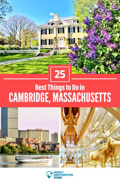 Things To Do In Cambridge Ma, Things To Do In Cambridge, Lunch Places, Grafton Street, Cambridge Massachusetts, Boston Hotels, Cambridge Ma, Walking Routes, Family Destinations