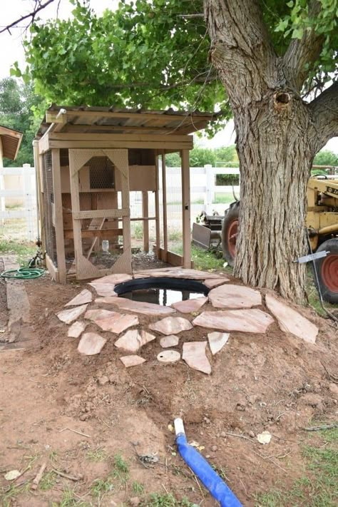 Diy Duck Pond, Duck Enclosure, Duck Ideas, Duck Swimming, Backyard Ducks, Duck Coop, Duck Farming, Backyard Pond, Pet Ducks