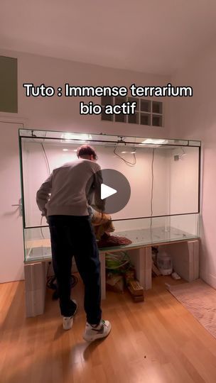 Vivarium Diy, Terrarium Design, Terrarium Ideas, 10k Views, Reptiles, Terrarium, Audio, Plants, The Originals