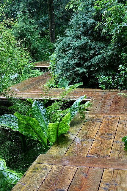 I like the raised walkway Walkway Landscaping, Wooden Walkways, Japanese Garden Design, Meteor Garden 2018, Garden Walkway, Magic Garden, The Secret Garden, Garden Pathway, Kew Gardens