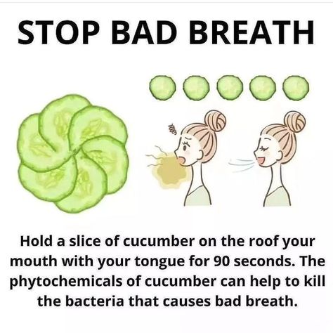 .
#badbreath #badbreathremedy Healing Methods, Prevent Bad Breath, Bad Breath Remedy, Practicing Self Love, Natural Healing Remedies, Holistic Remedies, Natural Therapy, Mouthwash, Health Facts