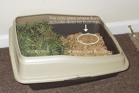 Litter Box Diy, Pig Enclosure, Bunny Litter, Bunny Litter Box, Diy Litter Box, Rabbit Litter, Rabbit Litter Box, Bunny Hutch, Rabbit Hay