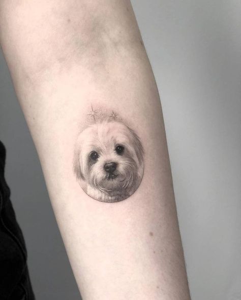 Maltipoo Tattoo, Rocky Tattoo, Pet Memorial Tattoo, Dog Portrait Tattoo, Mama Tattoo, Small Tattoo Placement, Circle Tattoos, Small Tattoos With Meaning, Small Tattoos Simple