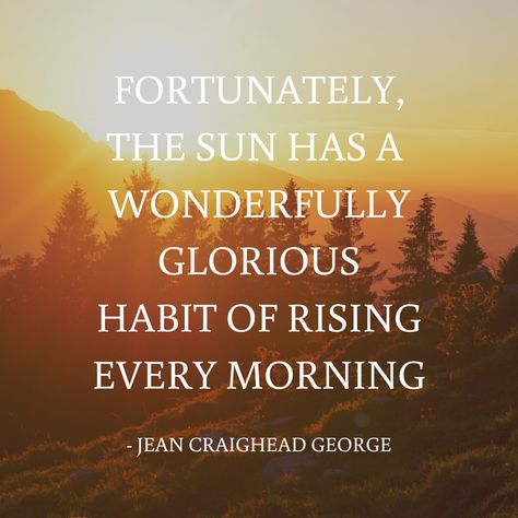 Fortunately, the sun has a wonderfully glorious habit of rising every morning - Jean Craighead George. It's a fresh start.  A new beginning.  Another chance.  Every Day You Are New.  New thoughts.  New Intentions.  New Awareness.  New Perception.  You can Heal.  Healing Quote.  Mindset Quote. A New Beginning Quotes, New Day Quotes, Sun Quotes, Quotes Arabic, New Beginning Quotes, Board Quotes, A New Beginning, Coach Me, Celebrity Design