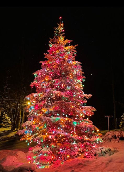 White Christmas Tree With Multicolored Lights, Colorful Christmas Lights Aesthetic, Christmas Decor Yard Decorations, Christmas Tree Ideas Natural, Outside Christmas Decor Yard Decorations, Woodsy Christmas Decor, Rainbow Christmas Lights, Christmas Lights At Night, Christmas Lights Aesthetic