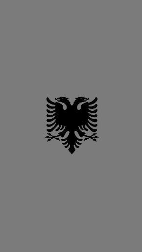 Albanian Flag Wallpaper, Albanian Wallpaper, Albanian Tattoo, Bosnia Flag, Eagle Background, Kosovo Flag, Albanian Eagle, Albanian Flag, Albania Flag