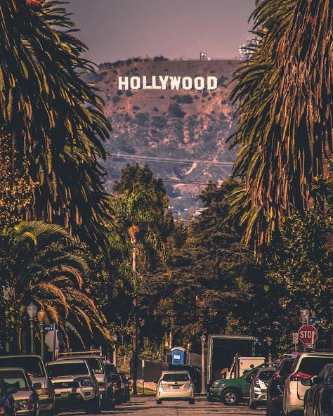 Hollywood sign from the Hancock Park neighborhood on (Windsor Blvd between 4th and 6th) Los Angeles CA Hollywood Wallpaper, Los Angeles Parks, Hollywood Blvd, Los Angeles Hollywood, Hollywood Sign, Photo B, Aesthetic Vintage, Your Story, Windsor